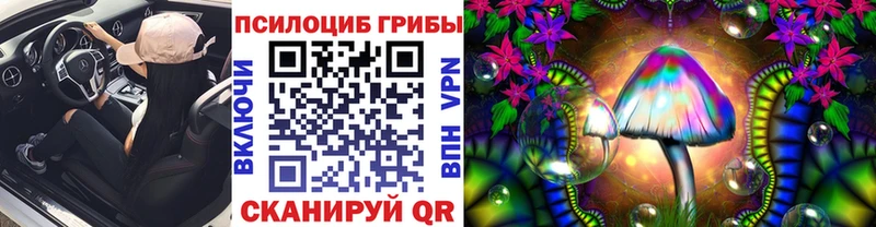Псилоцибиновые грибы прущие грибы Боровичи