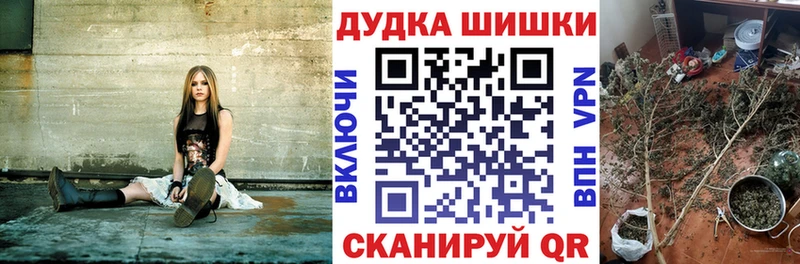купить наркотики сайты  Боровичи  кракен ССЫЛКА  Бошки марихуана план 